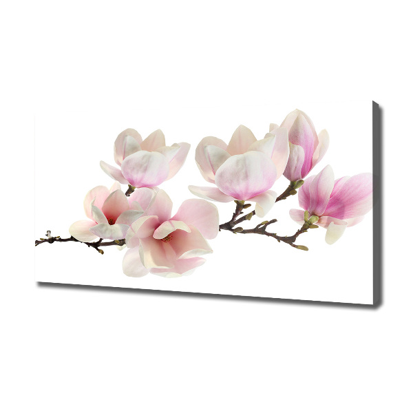 Print pe canvas Magnolie