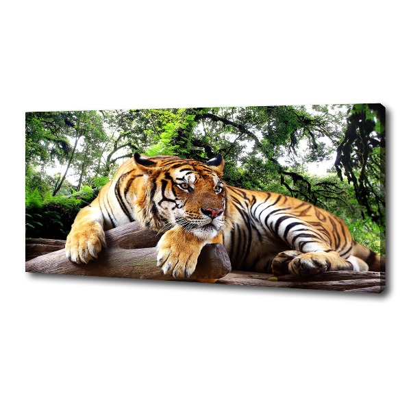 Tablou canvas Tiger pe stâncă