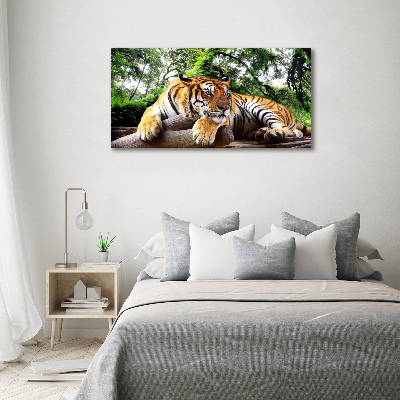 Tablou canvas Tiger pe stâncă