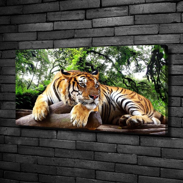 Tablou canvas Tiger pe stâncă