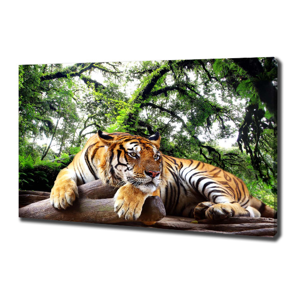 Tablou canvas Tiger pe stâncă