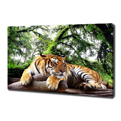 Tablou canvas Tiger pe stâncă