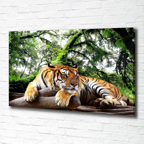 Tablou canvas Tiger pe stâncă