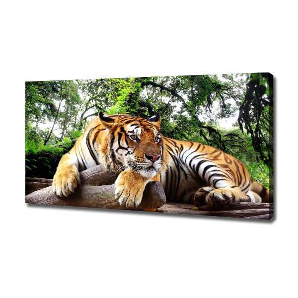 Tablou canvas Tiger pe stâncă