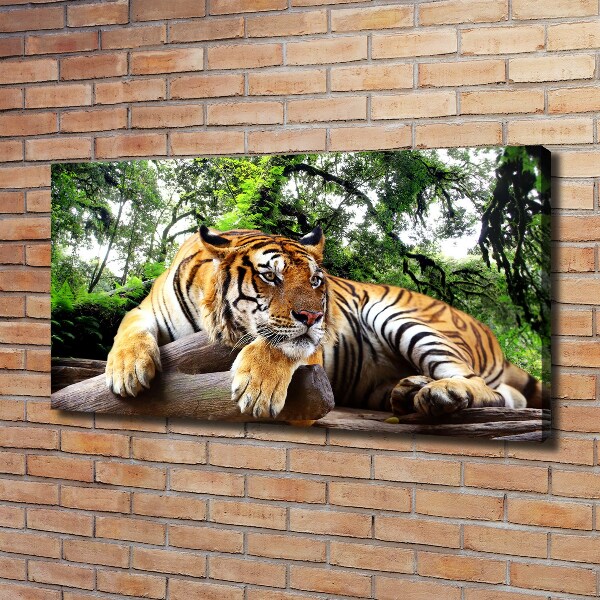 Tablou canvas Tiger pe stâncă