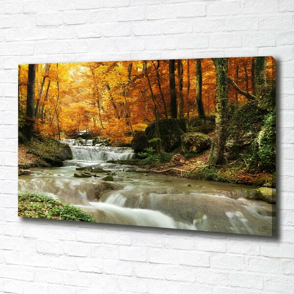 Pictură pe pânză Cascada din pădure