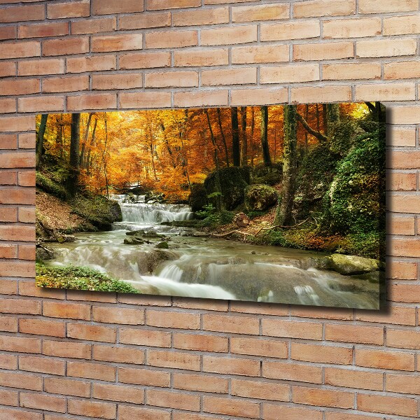 Pictură pe pânză Cascada din pădure