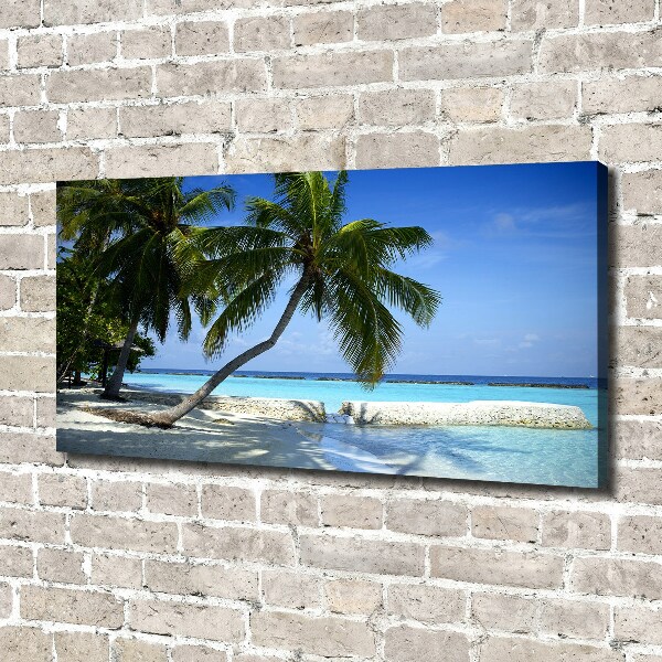 Print pe canvas plaja tropicala