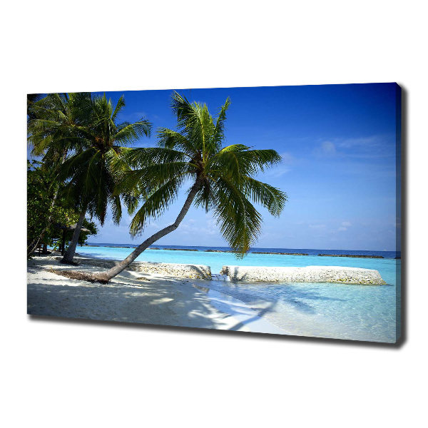 Print pe canvas plaja tropicala