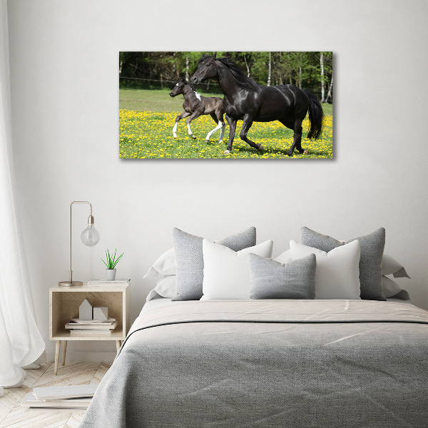 Imprimare tablou canvas Mare cu mânz