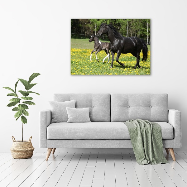 Imprimare tablou canvas Mare cu mânz