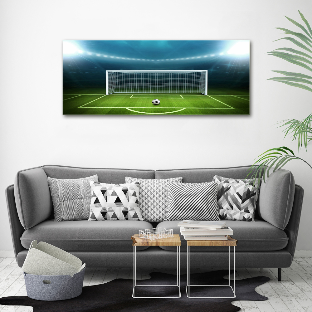 Tablou canvas stadiu