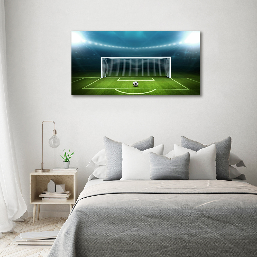 Tablou canvas stadiu