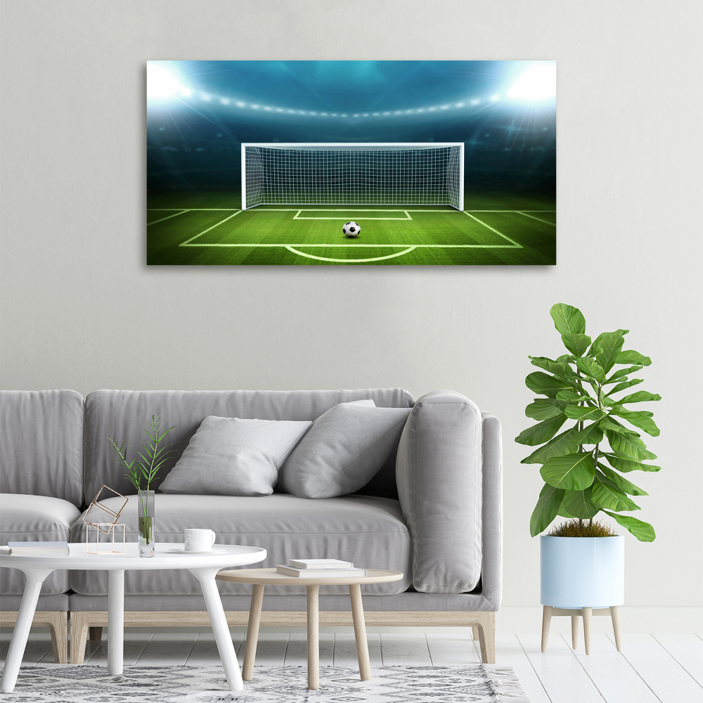 Tablou canvas stadiu