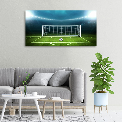 Tablou canvas stadiu