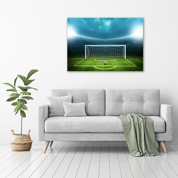 Tablou canvas stadiu