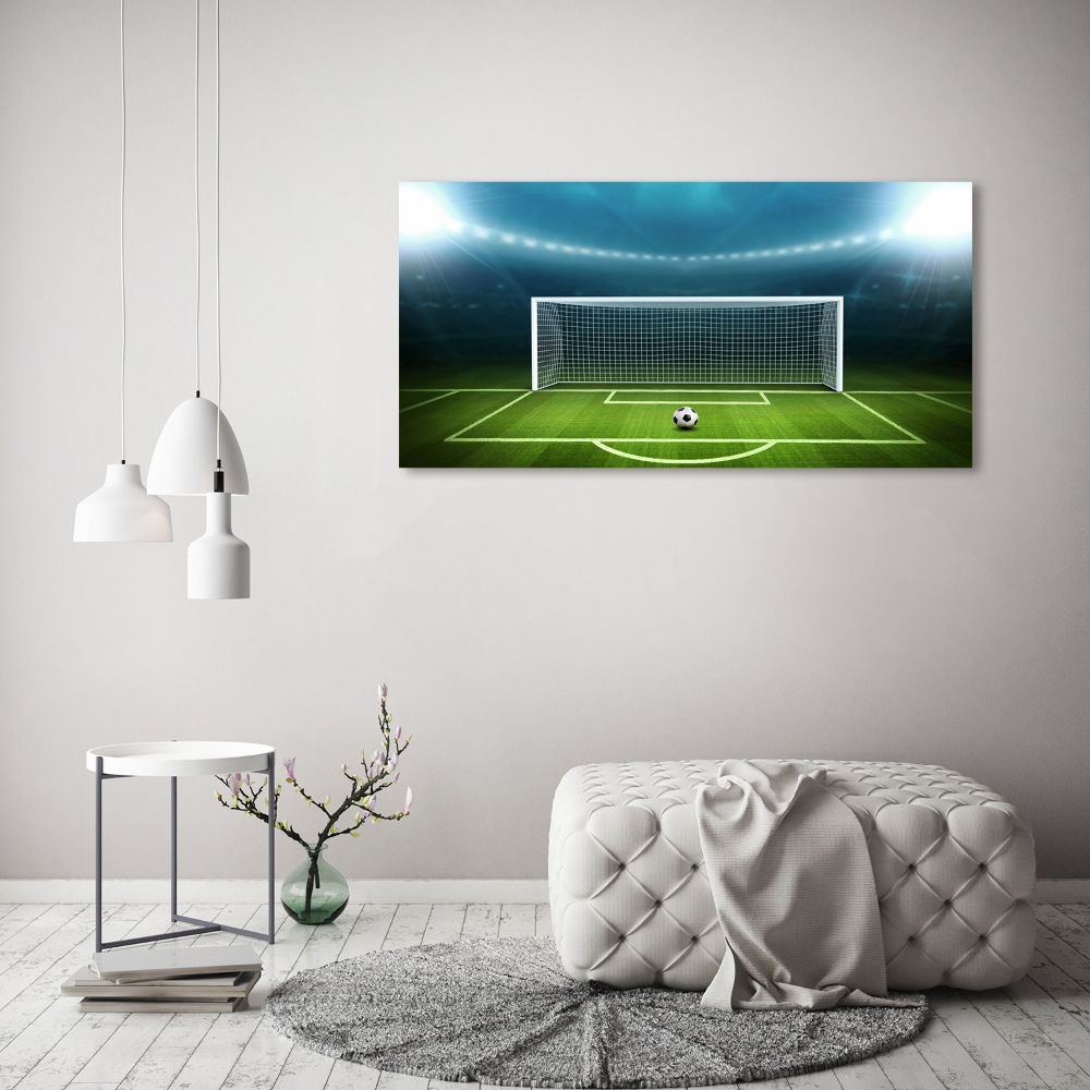 Tablou canvas stadiu