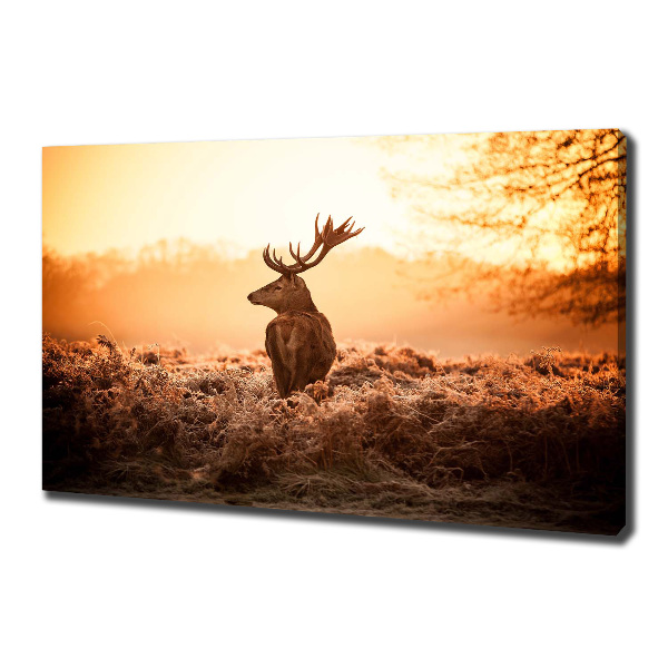 Print pe pânză Sunrise Deer