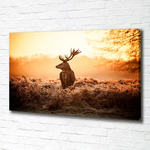 Print pe pânză Sunrise Deer