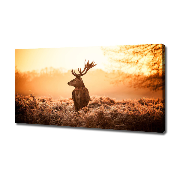 Print pe pânză Sunrise Deer