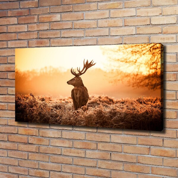 Print pe pânză Sunrise Deer