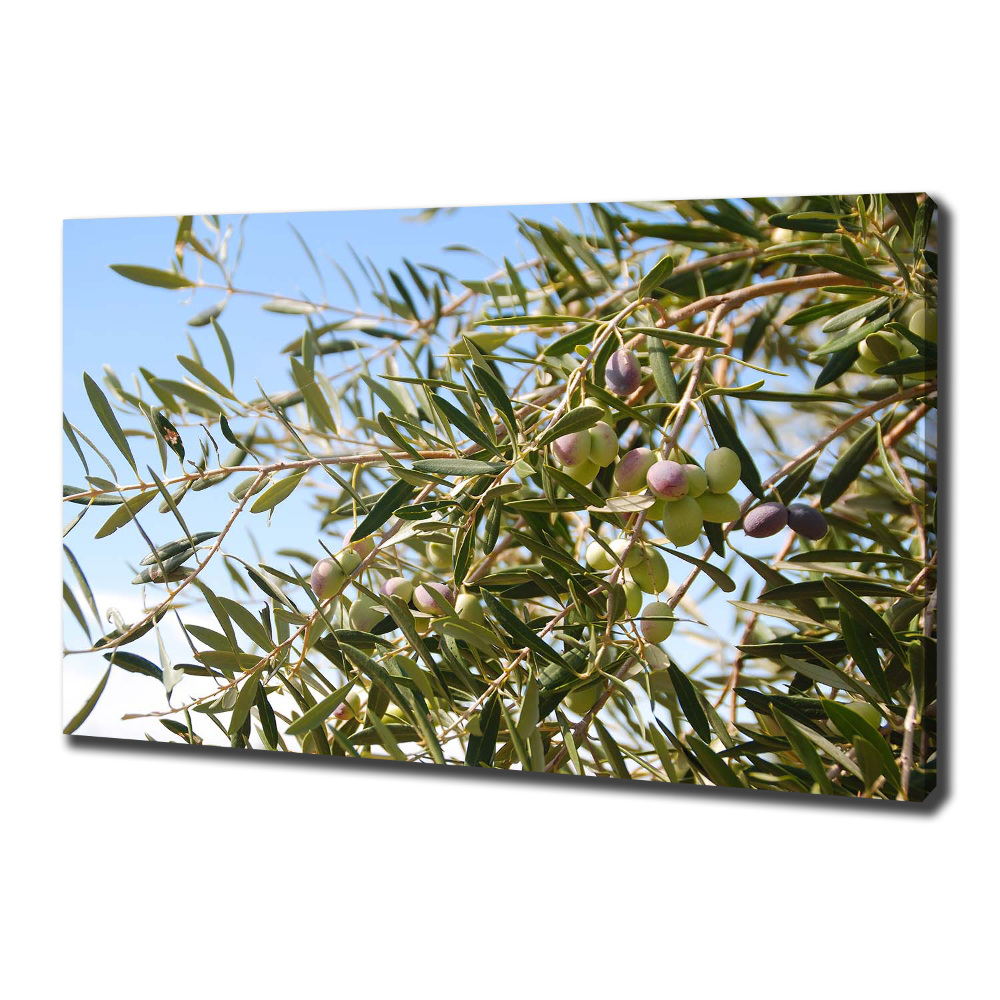 Tablou pe pânză canvas oliv