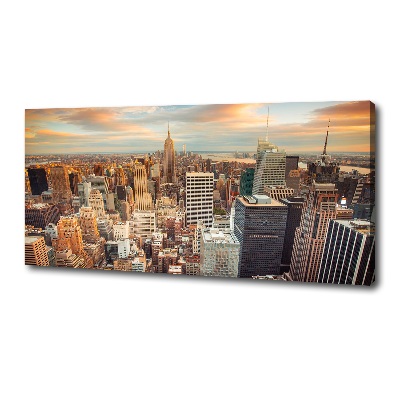 Print pe canvas New York pasăre de zbor