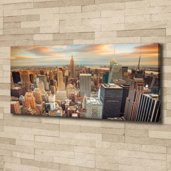 Print pe canvas New York pasăre de zbor