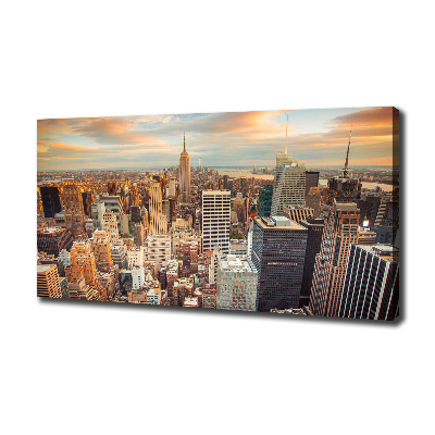 Print pe canvas New York pasăre de zbor