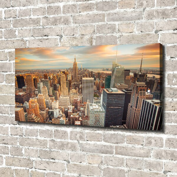 Print pe canvas New York pasăre de zbor