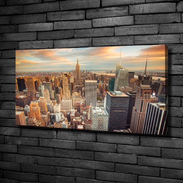 Print pe canvas New York pasăre de zbor