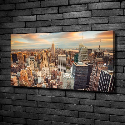 Print pe canvas New York pasăre de zbor