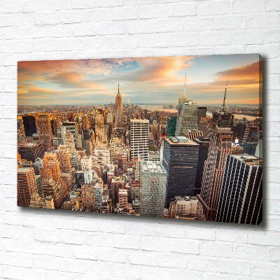 Print pe canvas New York pasăre de zbor