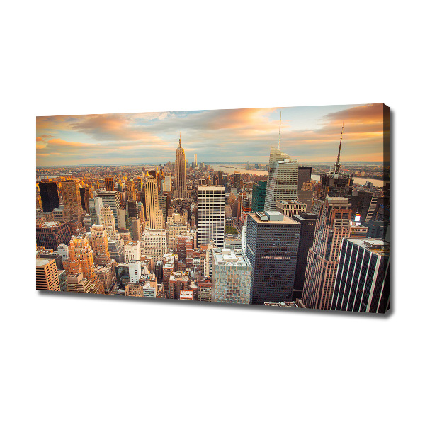 Print pe canvas New York pasăre de zbor