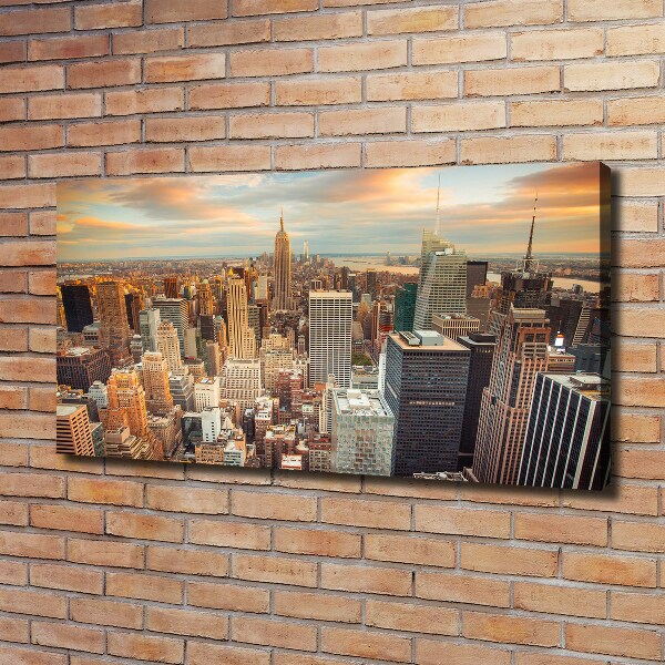 Print pe canvas New York pasăre de zbor