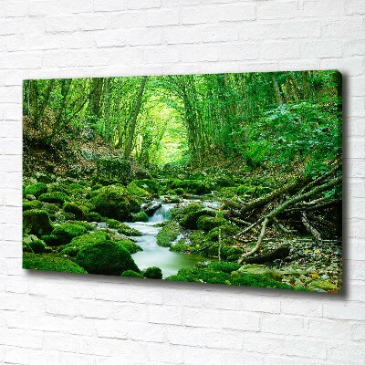 Imprimare tablou canvas Stream în pădure