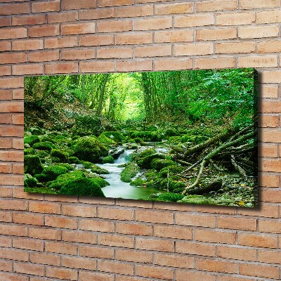 Imprimare tablou canvas Stream în pădure