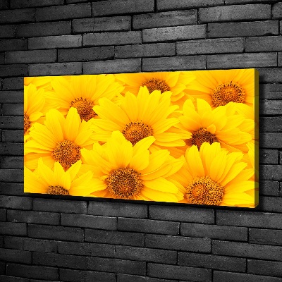 Tablou pe pânză canvas Floarea soarelui