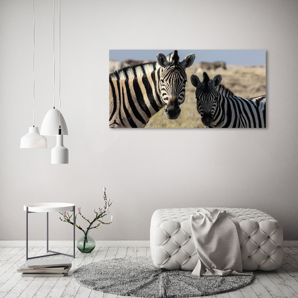 Tablou canvas două zebre