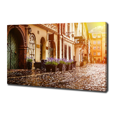 Tablou pe pânză canvas Cracovia, Polonia