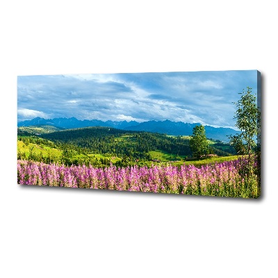 Tablou canvas Lavanda în munți