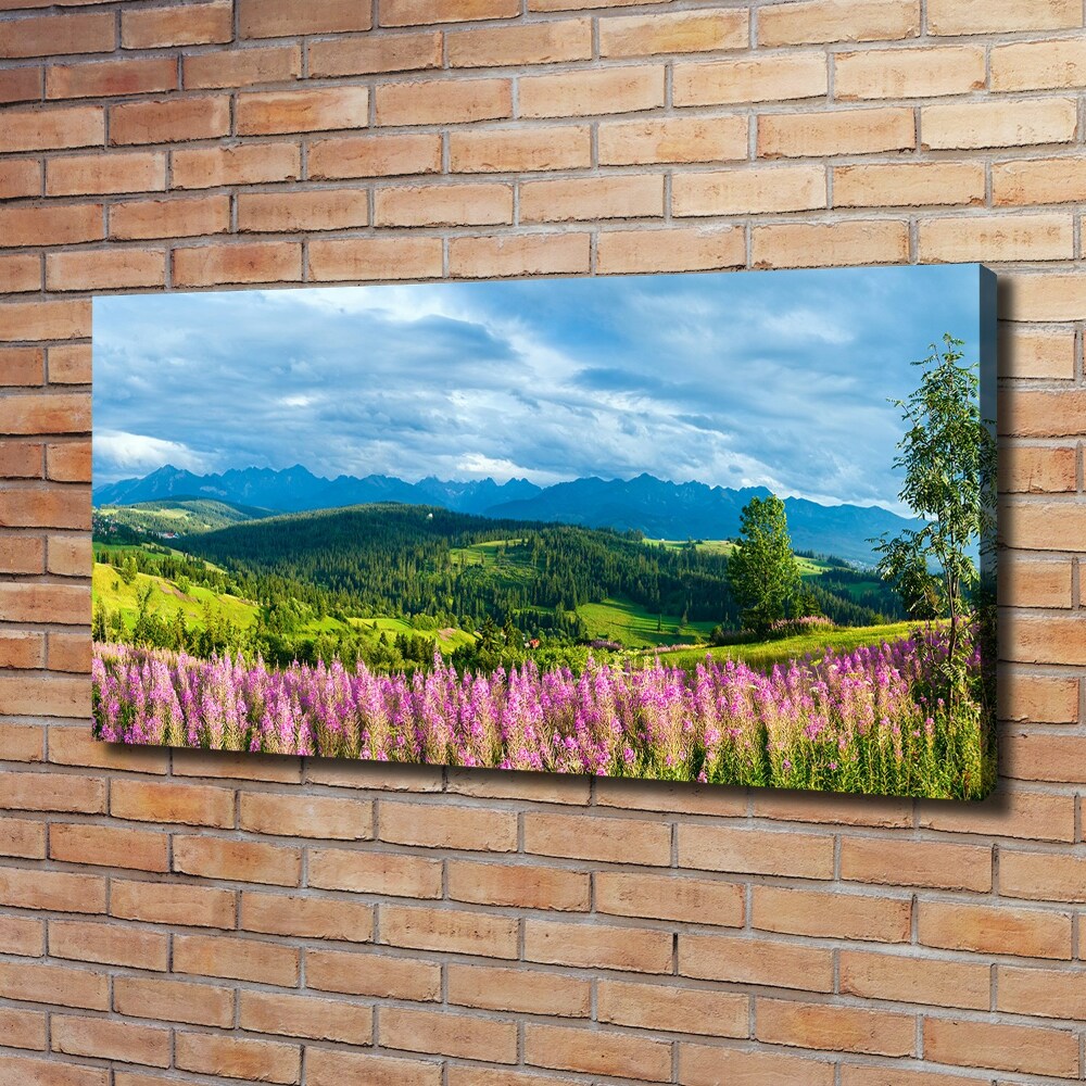 Tablou canvas Lavanda în munți