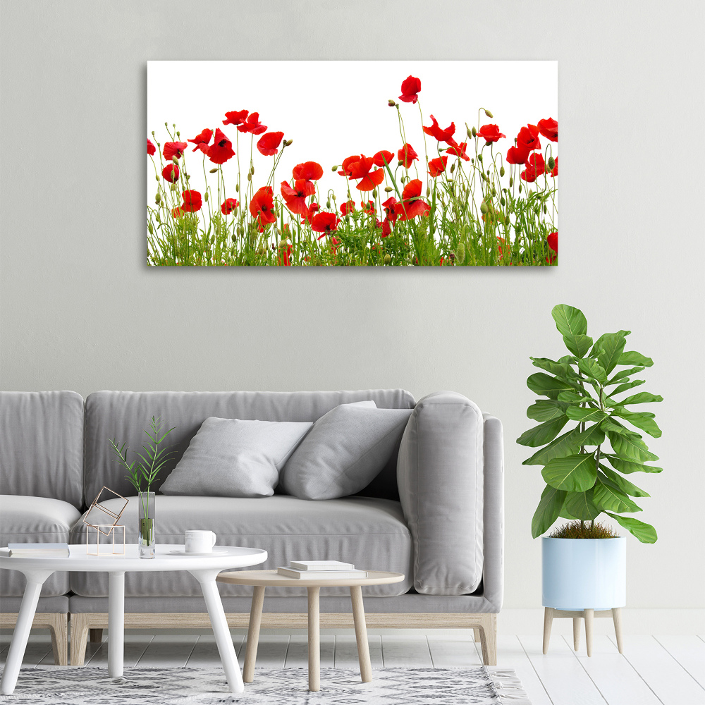 Print pe canvas Maki