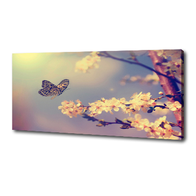 Tablou pe pânză Floare de cireș și fluture