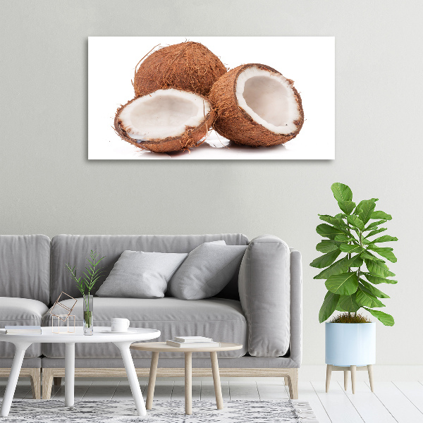 Print pe canvas nucă de cocos