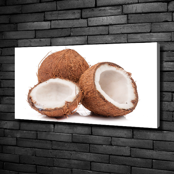 Print pe canvas nucă de cocos