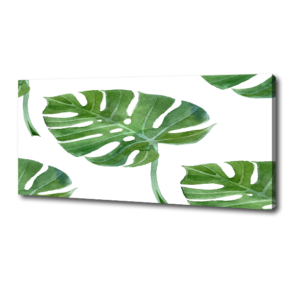 Imprimare tablou canvas Monstera