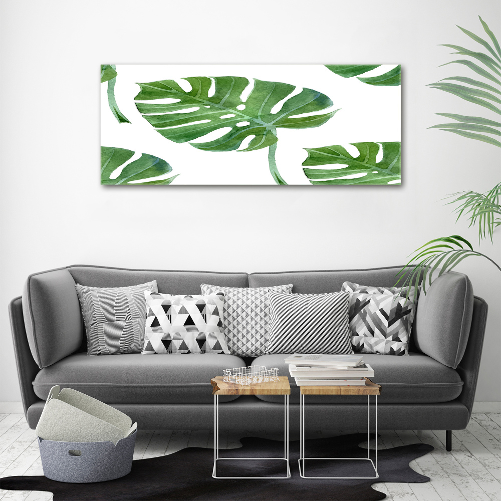 Imprimare tablou canvas Monstera