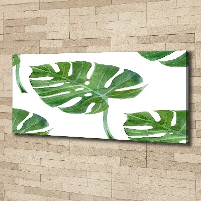 Imprimare tablou canvas Monstera