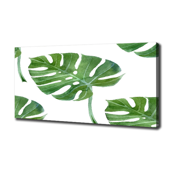 Imprimare tablou canvas Monstera